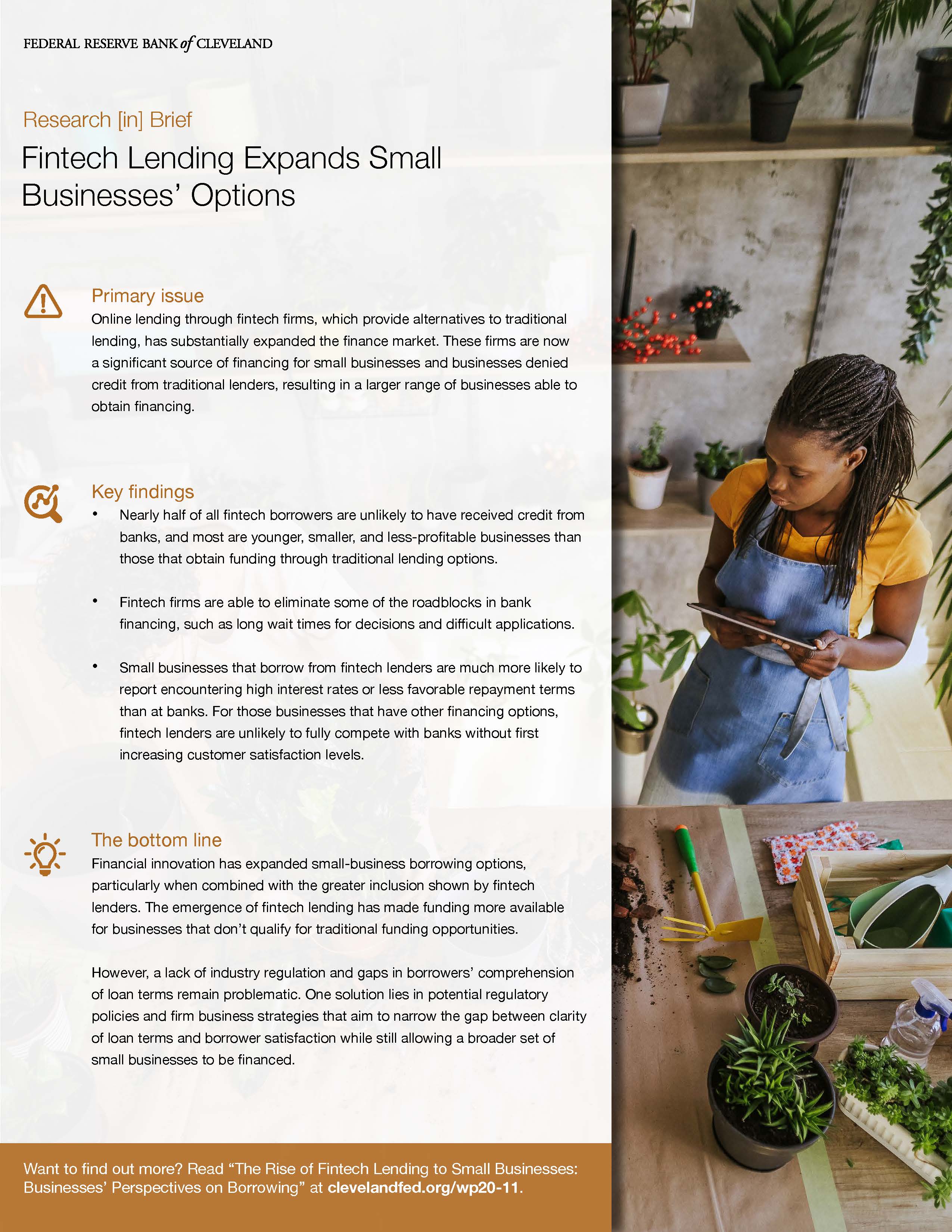Fintech Lending Expands Small Businesses' Options