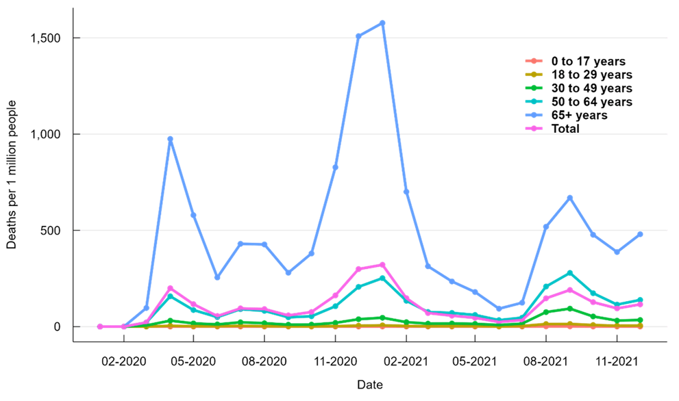 Figure 1. Crude Mortality Rate by Age Group in the United States