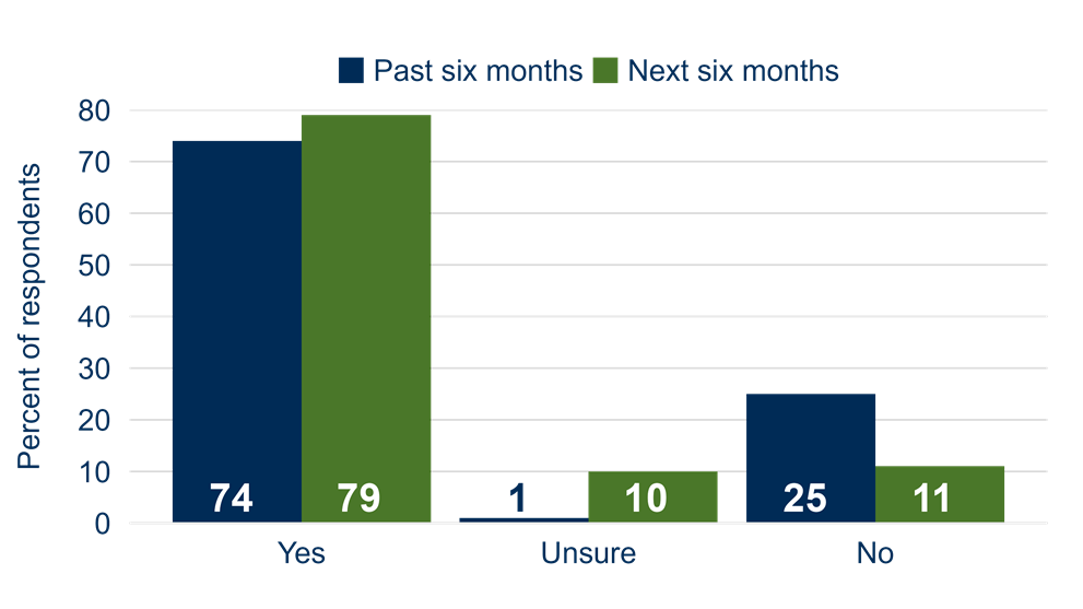 Firms’ Recent and Anticipated Use of AI