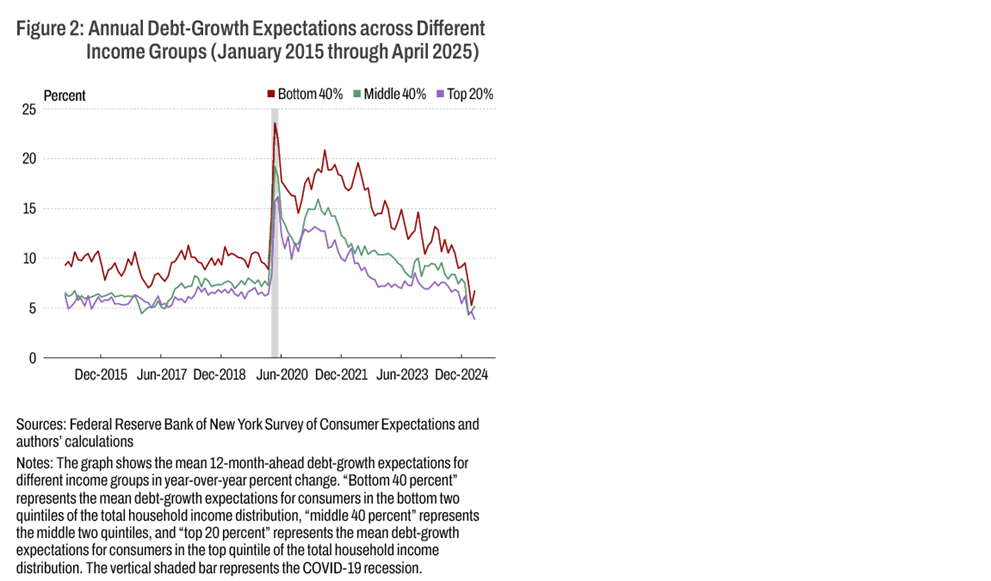 Figure 2: Annual Debt-Growth Expectations across Different Income Groups (January 2015 through April 2025)